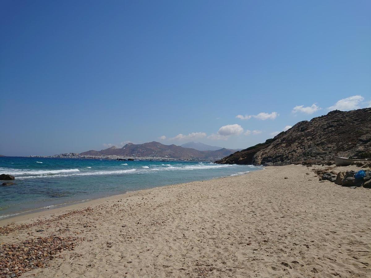 Chez Kiki Et Ioannis Διαμέρισμα Εγκαρές Εξωτερικό φωτογραφία